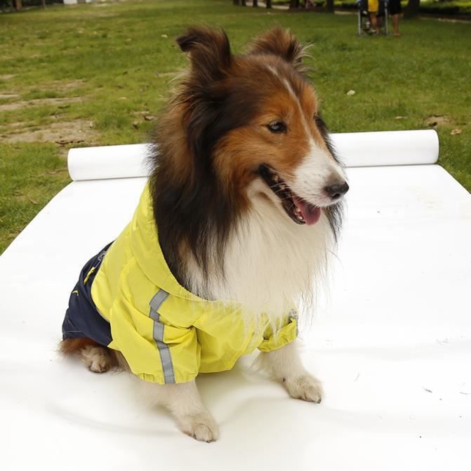 Vêtements de pluie pour chiens s de manteau imperméable pour chien gratuit avec l'ensemble Cap Vêtements de pluie pour chiens s de manteau imperméable pour chien gratuit avec l'ensemble Cap