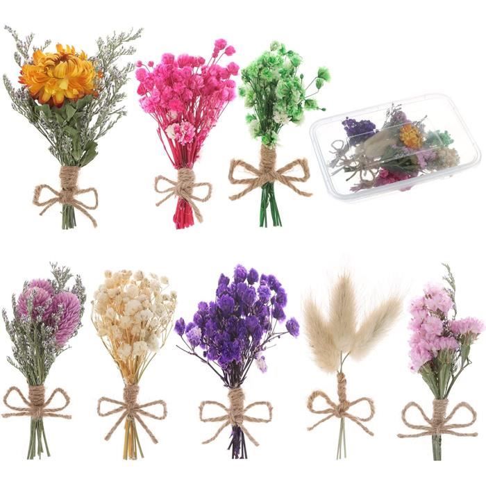 Fleurs Pressées Séchées Fleurs Séchées Naturelles Vraies Fleurs Pressées Fleurs Séchées Colorées