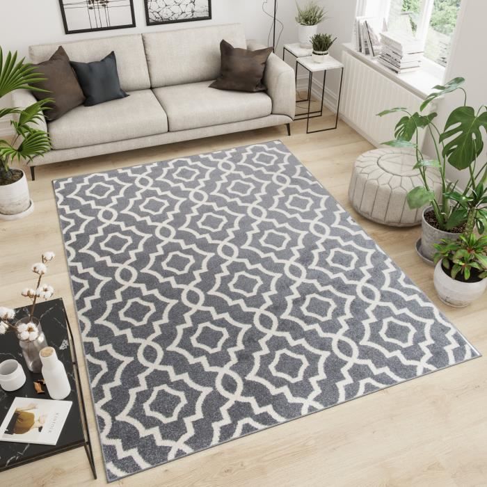 tapis et moquettes tapis de salle de sejour court flor design tapis treillis modele de couleur gris maison