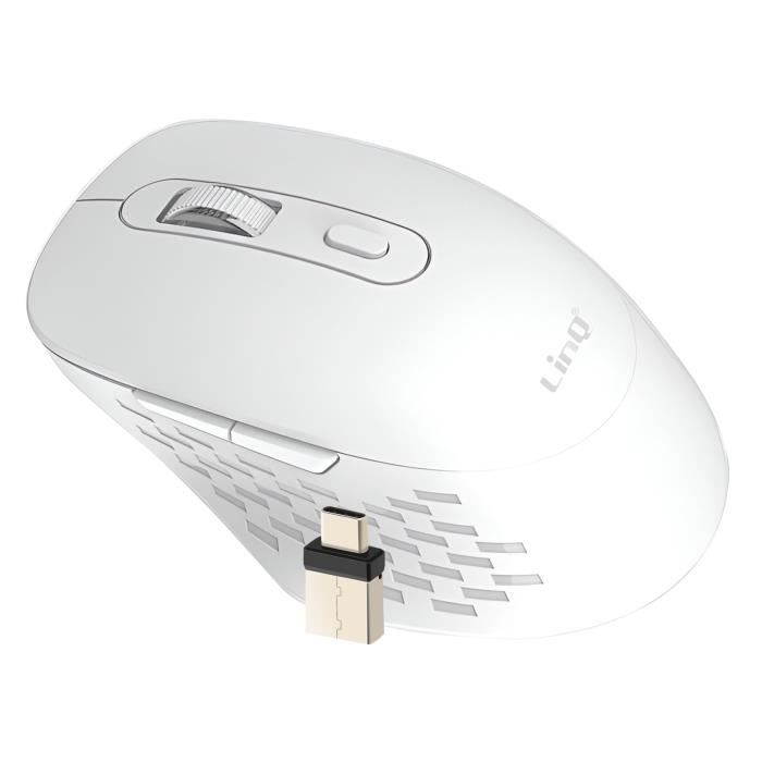 Souris Sans Fil LinQ – WiFi et Bluetooth 2.4G, Dongle USB-C, 1600 DPI - vue 10