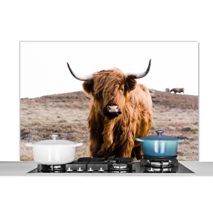 muchowow - fond de hotte - aluminium - 120x80 cm - highlander écossais paysage vache brun animaux nature - multicolore