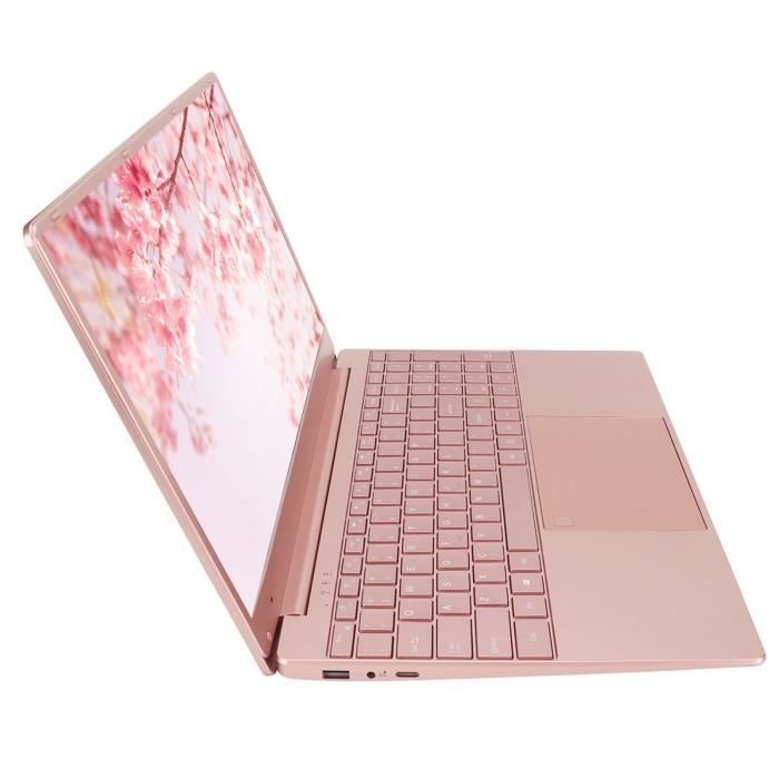 Mini ordinateur portable 15.6 Windows11 Intel N5095 CPU avec clavier  rétroéclairé à empreinte digitale 12+256G Rose - Cdiscount Informatique