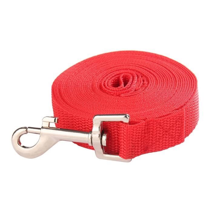 Laisse cuir standard pour la promenade du chien
