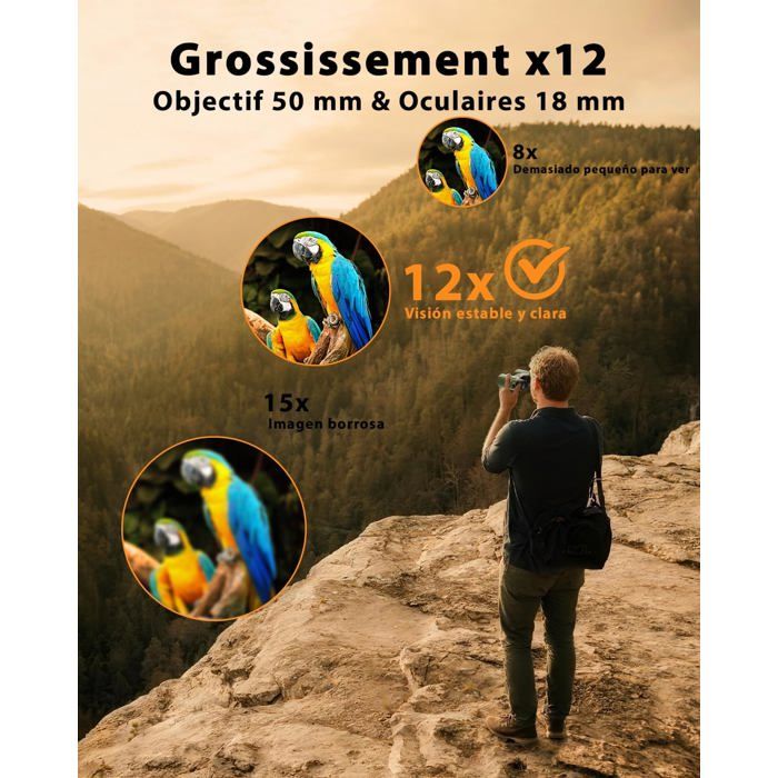 Jumelles Puissantes 10x42 pour Adultes Prisme BAK-4 Lentille FMC Grande Oculaire Antibuée Étanches - Jumelles (15252669