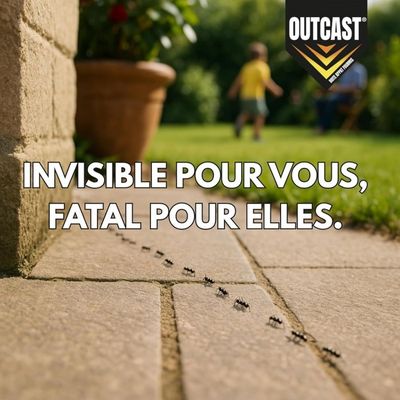 Catch Expert – Lot 6 Pièges Anti-Cafards & Blattes – Éradication Colonie – Action 6 Mois – Sans Odeur Ni Vapeur