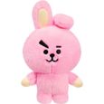 Bt21 peluche