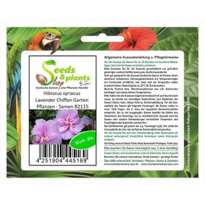 GRAINE - SEMENCE Graines de Hibiscus Syriacus Lavender - Plantes de