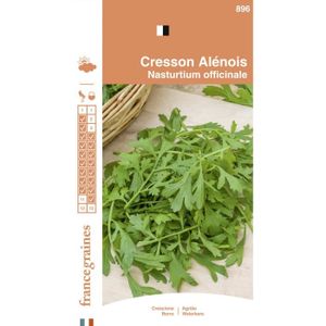 GRAINE - SEMENCE France Graines - Cresson Alenois