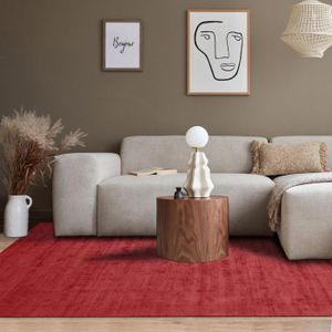 Moderne Tapis Salon Décoration de la Maison Style Ethnique Rouge  géométrique Multicolore de Mode Tapis 100x150cm[14953] - Cdiscount Maison