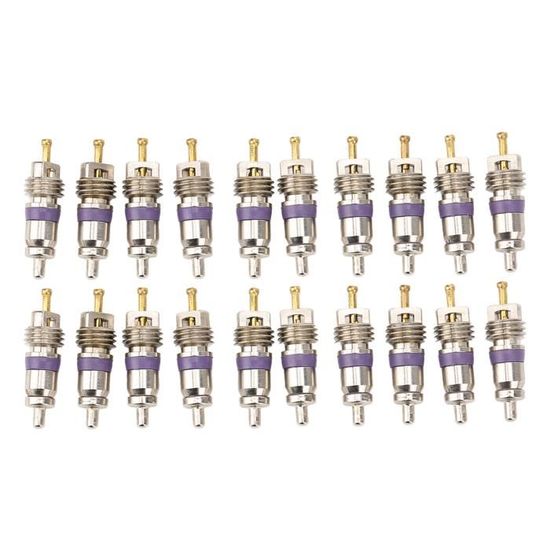 5 Paires Bouchons Valve Climatiseur Voiture Id 0,55" Pour Climatisation - Bleu