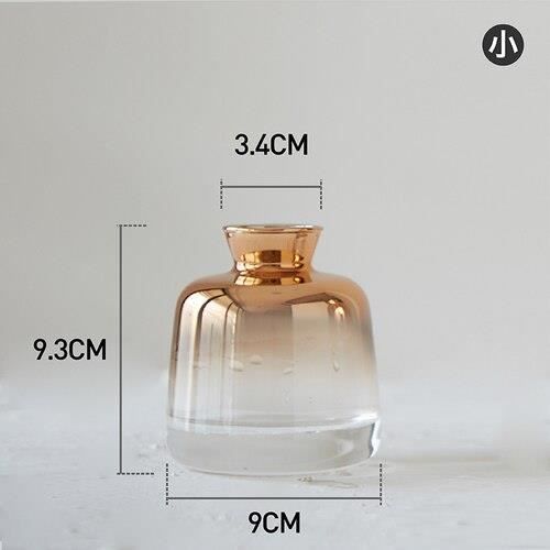 Vase à fleurs en verre Simple créatif ~S E2856