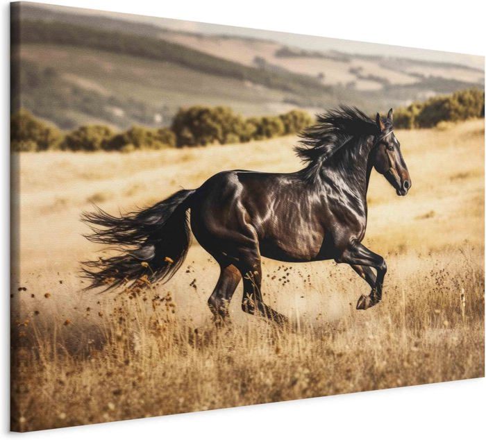Feeby Impression Sur Toile Afrique Femmes XXL 120x80 cm 1 pièce Tableaux Tableau Mural Image Moderne Photo Décoration Murale Artistique Photographie