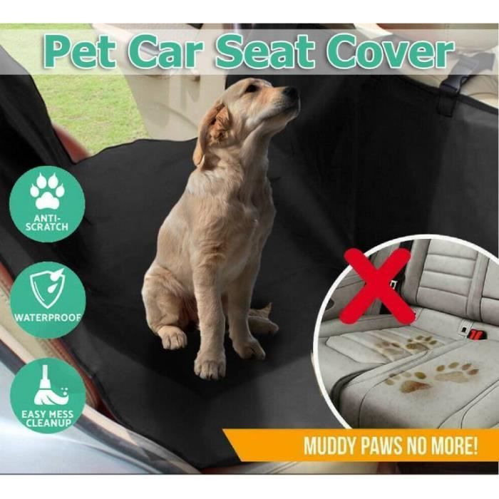 Protège tapis de voiture pour chien résistant à la morsure de
