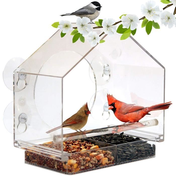 Mangeoire transparente en acrylique pour oiseaux avec cage à oiseaux pour  la décoration de jardin Transparent - Cdiscount