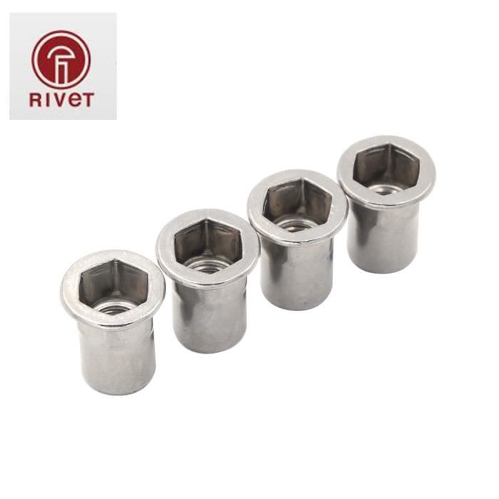 Hezagonal Riveter M4-100 Pcs -Écrou de Rivet Semi hexagonal à tête plate,100 pièces,en ...
