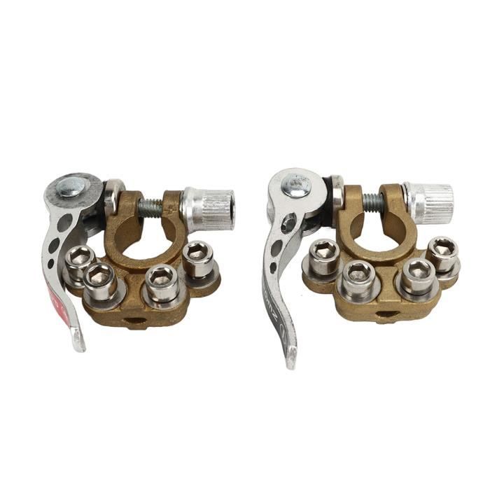 Pinces ErreBi Group Pour Bornes Batterie Et Cylindre - AWG 11-8 - Neuf