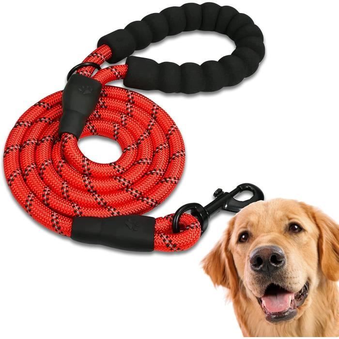 Meilleurs prix pour Laisse de Chien Forte et Confortable pour Chiens Moyens - FOOTIER - Rouge