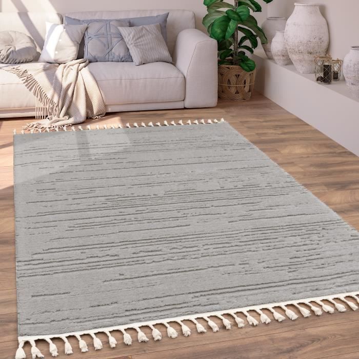 Homebyhome Tapis De Salon Design Moderne à Poils Courts Design