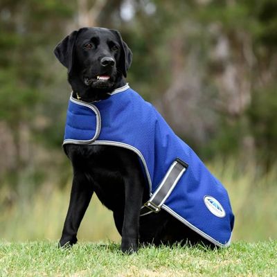 Parka pour chien 2025
