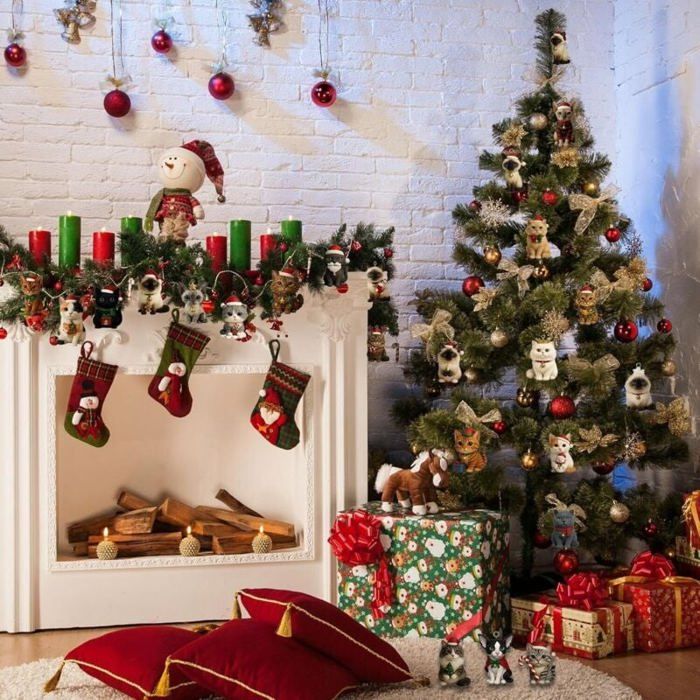 Acheter Riga Calendrier De L'Avent - Friandises Récompense Pour Chat