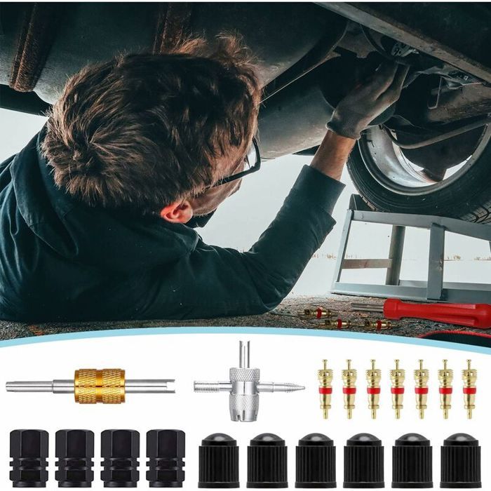 Demonte Valve Pneu Voiture Boîte,32 Pcs,Demonte Obus Valve Kit Outil de Tire Repair avec Valve Core pour Voiture Remplacement Outil - Auto Demonte Valve Pneu Voiture Boîte,32 Pcs,Demonte Obus Valve Kit Outil de Tire Repair avec Valve Core pour Voiture Remplacement Outil - Auto