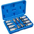 Coffret douille 12 pans male