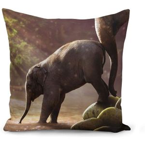 Coussin Bebe Elephant Cdiscount Coussin Bebe Elephant Cdiscount