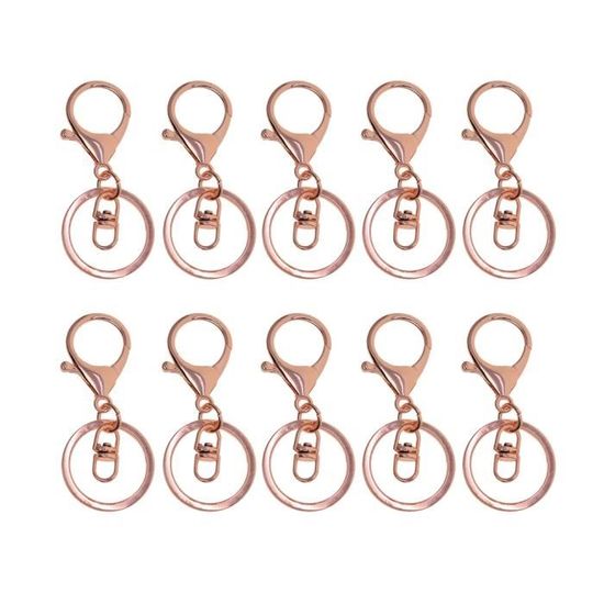 Lot De 6 Mousquetons Porte-clés En Alliage D'aluminium