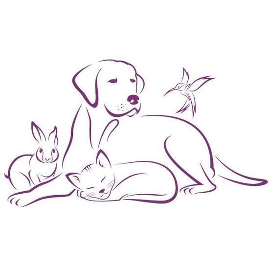 Sticker Animaux Chien Chat Lapin Oiseau Mignons x36 Cm Violet Anim002 Achat Vente Stickers Cdiscount