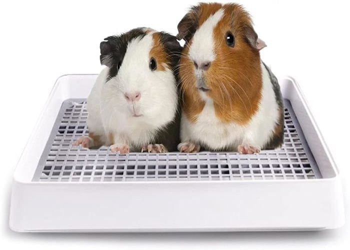 Meilleurs prix pour Bac litire pour cochon dInde avec grille toilettes pour petits animaux lapin et furet Animalerie < Chat < Litière et