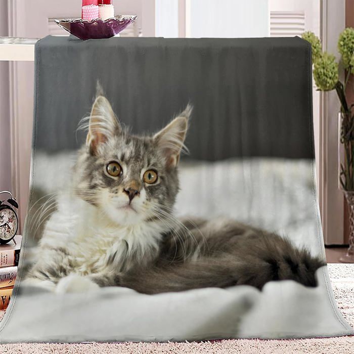 Couverture Flanelle Doux et Confortable Animal Chat Motif Couverture Plaid Polaire Couverture de Canapé Lavable 130x150cm