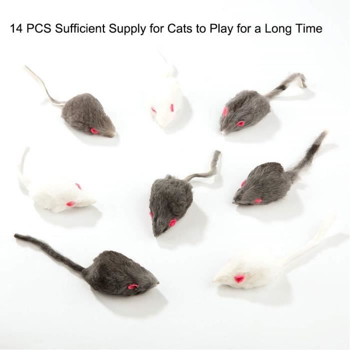 Yangbaga Kit Jouet Souris Chat Chaton En Poils De Lapin Naturels Jouet Souris Sans Yeuxs Parfait Cadeau Chat Plus Securite 14 Pcs Cdiscount