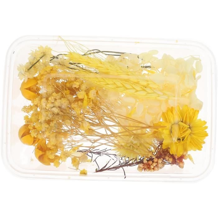 Fleurs Séchées Naturelles Pour Nail Art Et Résine - Boîte Mélange Couleur, 1-2 Cm - DIY Bijoux, Déco - 5