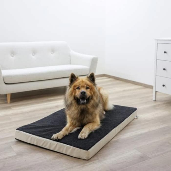 Coussin à mémoire de forme - Kerbl - 80326 - Beige et Gris - 80x50 cm - Antidérapant