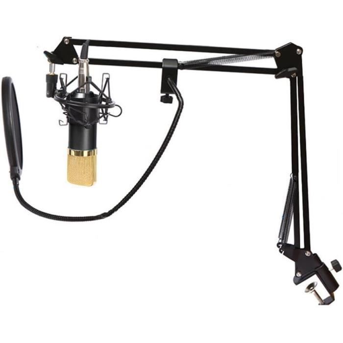 Tbest Microphone D'interview Microphone à Condensateur Portable Léger