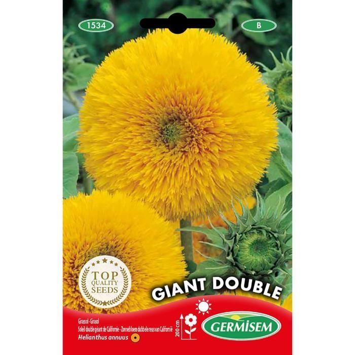 Graines De Pavot De Californie En Mélange, Eschscholzia Californica Mix