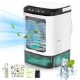 Climatiseur Portable - EINNENFFER - Mobile 900ml - Ventilateur d'humidification - Lumière LED - Électrique