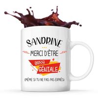 Mug Sandrine géniale sans faire exprès | Tasse Cadeau Prénom Surnom Nom de Famille Anniversaire Noël