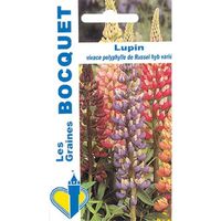 Sachet de  Lupin vivace polyphylle de Russel hybride varié - 2 g - fleur vivace - LES GRAINES BOCQUET