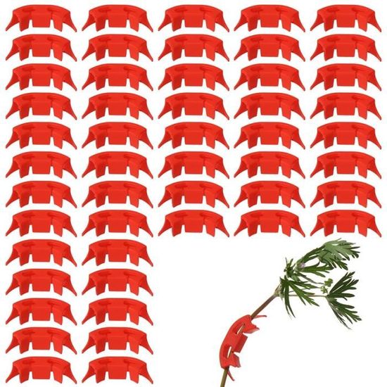 Clips à Plantes Lot De 60 Clips Pour Plantes Gotyou - Cintreuse Branches Réglable 360° - Jardinage Formation Plantes