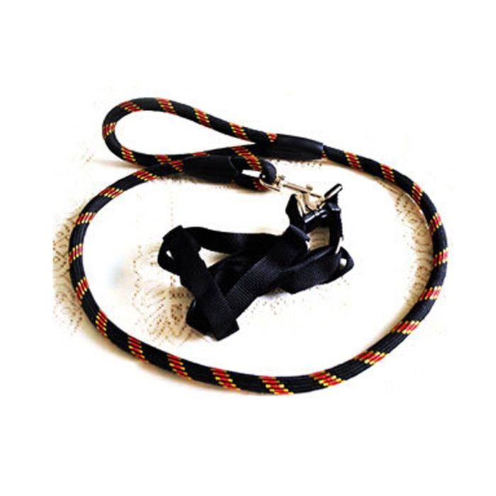 Durable collier de chien Laisse sangle pour chiot Pet,noir/rouge