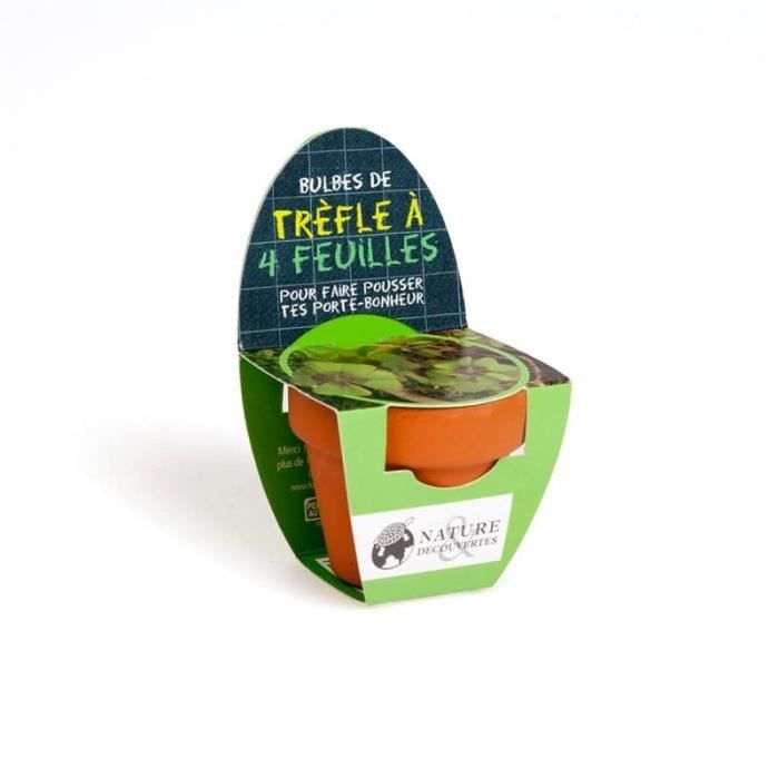 Mini kit de trèfle à 4 feuilles