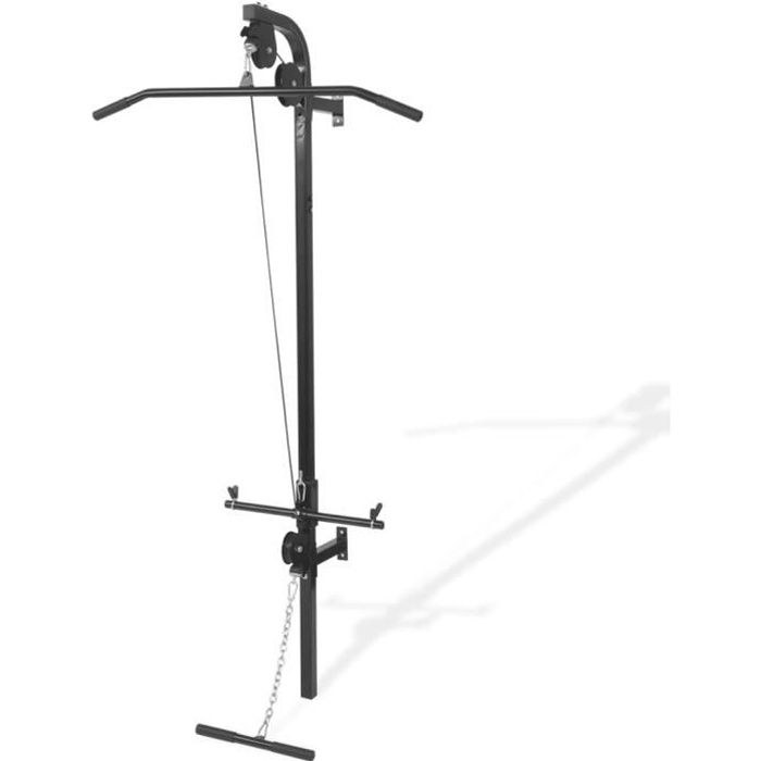 vidaXL Appareil de musculation mural avec 2 poulies
