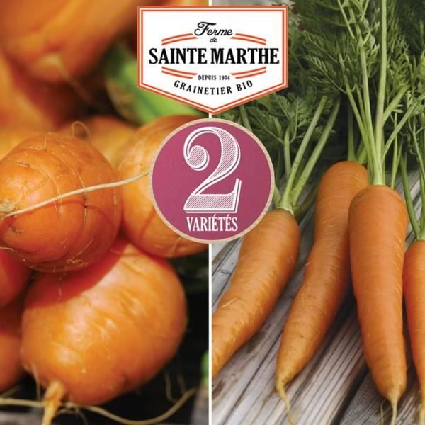 Comparer les prix de La ferme Sainte Marthe - 1 500 graines Carotte en mélange : Marché de Paris 3, Nantaise 2
