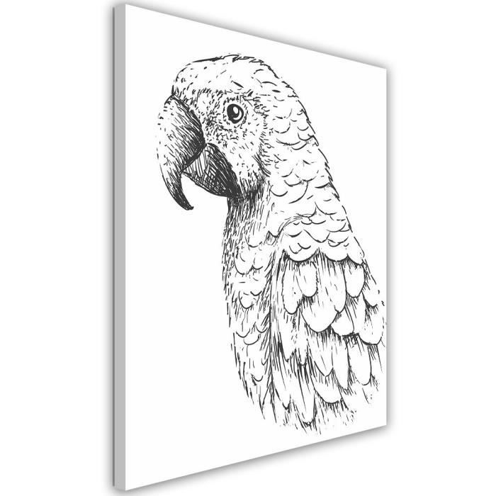 Tableau Deco Mural Impression Sur Toile 50x70 Dessin Oiseau Perroquet Noir Et Blanc Cdiscount Maison