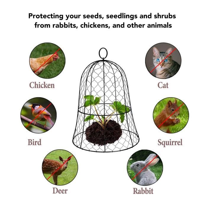 QINGZE Fil De Fer Floral, Fil De Poulet Pour Arrangements Floraux Floral Artisanat Volaille Jardin Fournitures D Arrangement Bricolage Maison