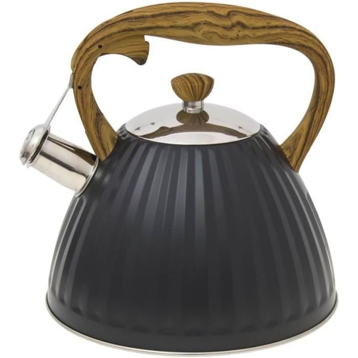 Bouilloire Sifflante 3 L Avec Couvercle Et Poignée Pour