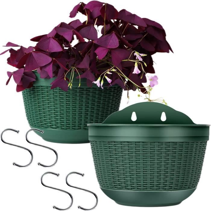 Jardinières Suspendues Demi-cercle - Lot De 2, Plastique PP, Avec Crochets Et Vis, Pour Balcon, Mur, Petites Plantes Lot 2 Jardinières Avec Crochets