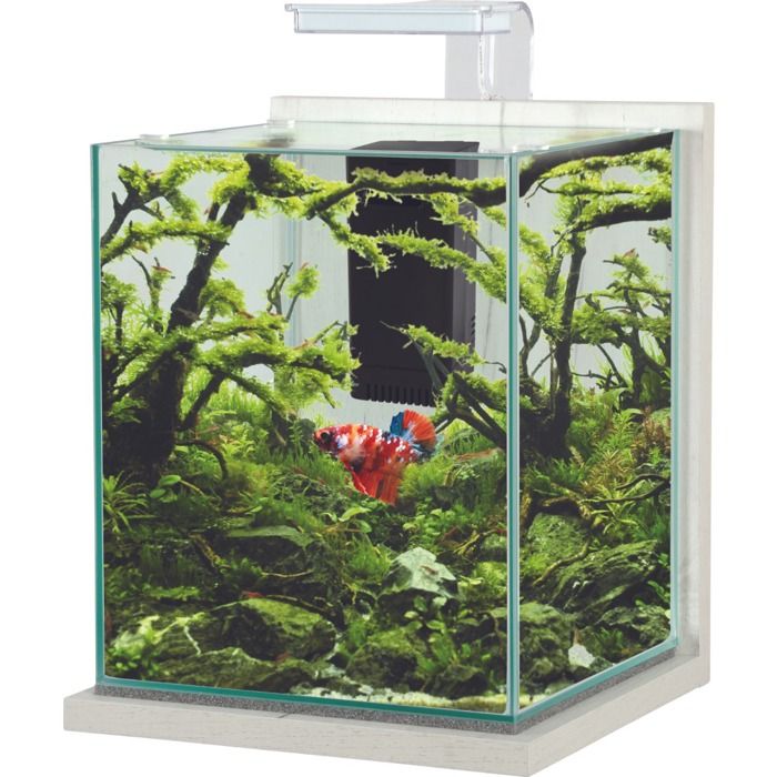 Aquarium Poisson Équipé 18,7 Litres Jalaya Xl Cérusé Blanc - Zolux