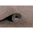 Carpeto Rugs Gazon Synthétique Exterieur - Faux Gazon Artificiel pour Balcon, Terasse et Jardin - Marron - 400 x 300 cm-3